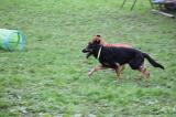 IMG_7960.JPG