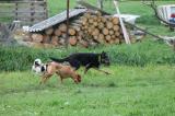 IMG_7974.JPG