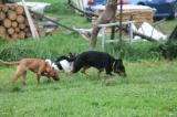 IMG_7975.JPG