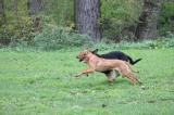IMG_8041.JPG