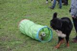IMG_8123.JPG