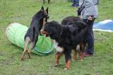 IMG_8126.JPG