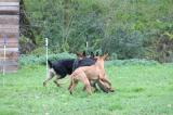 IMG_8141.JPG