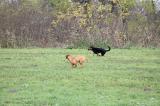 IMG_8170.JPG
