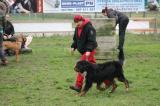 IMG_8359.JPG