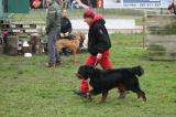 IMG_8360.JPG