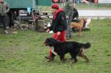IMG_8361.JPG