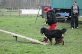 IMG_8363.JPG