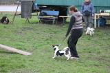 IMG_8553.JPG