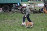 IMG_8622.JPG