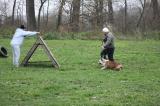 IMG_8655.JPG