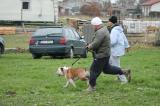 IMG_8681.JPG