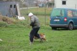 IMG_8684.JPG